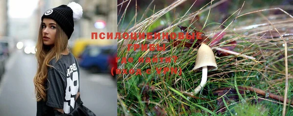 спайс Заволжье